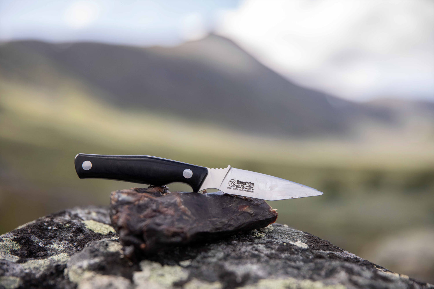 Hunter's Combo, Double Hunting Knife Set, Black Micarta