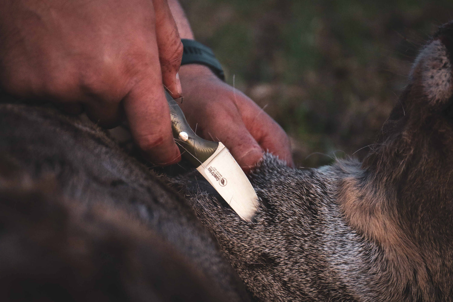 Safari Mini Hunter, Olivgrön G10, Kydex