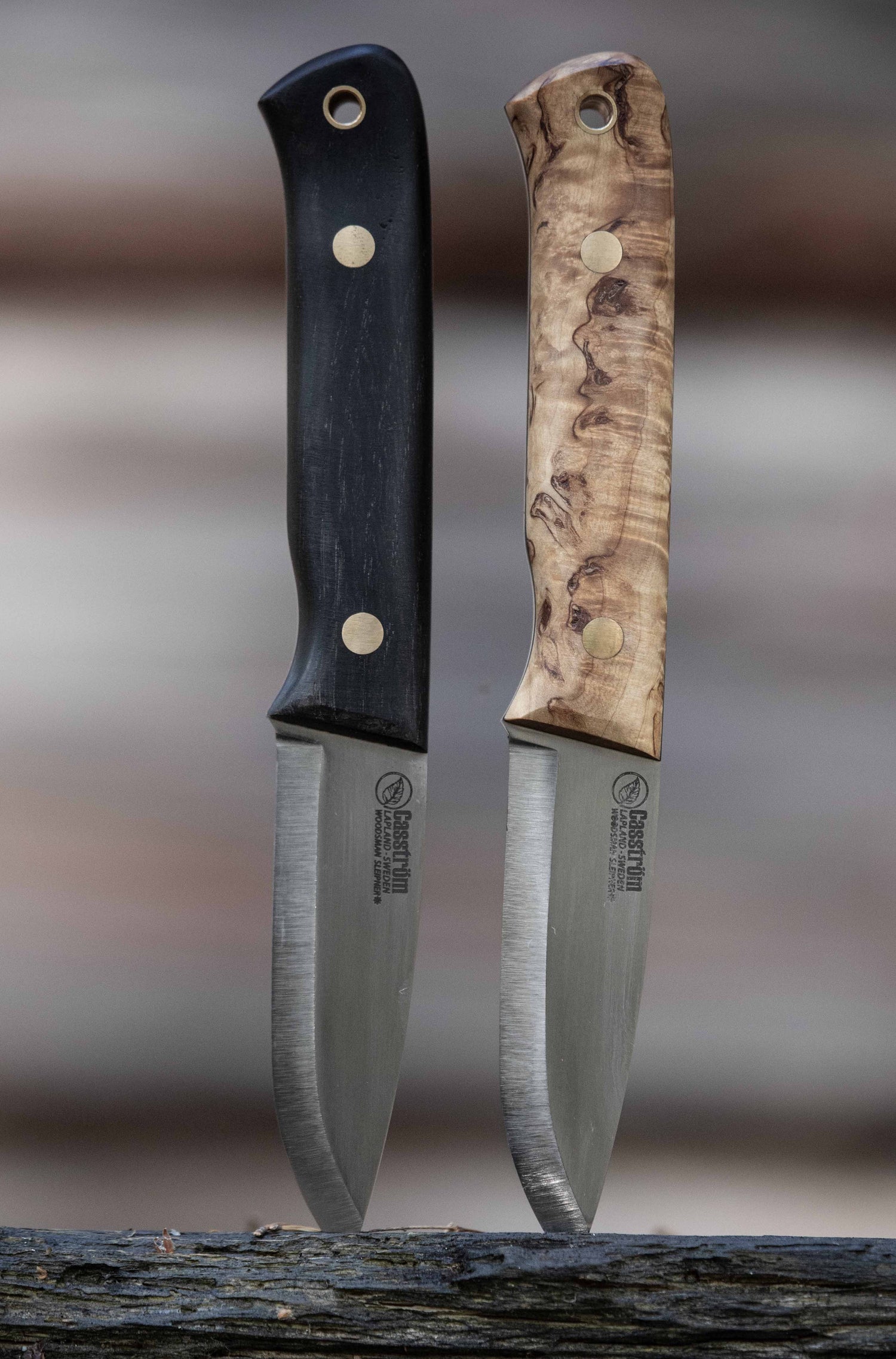 Woodsman Knife, Bog Oak Wood Handle