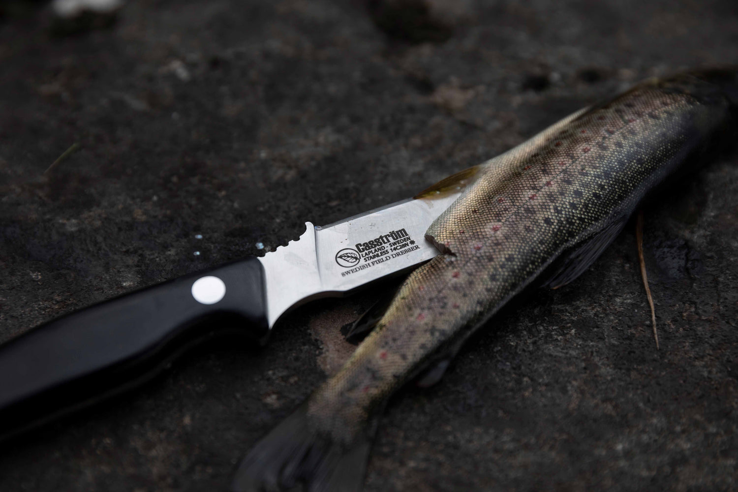 Hunter's Combo, Double Hunting Knife Set, Black Micarta