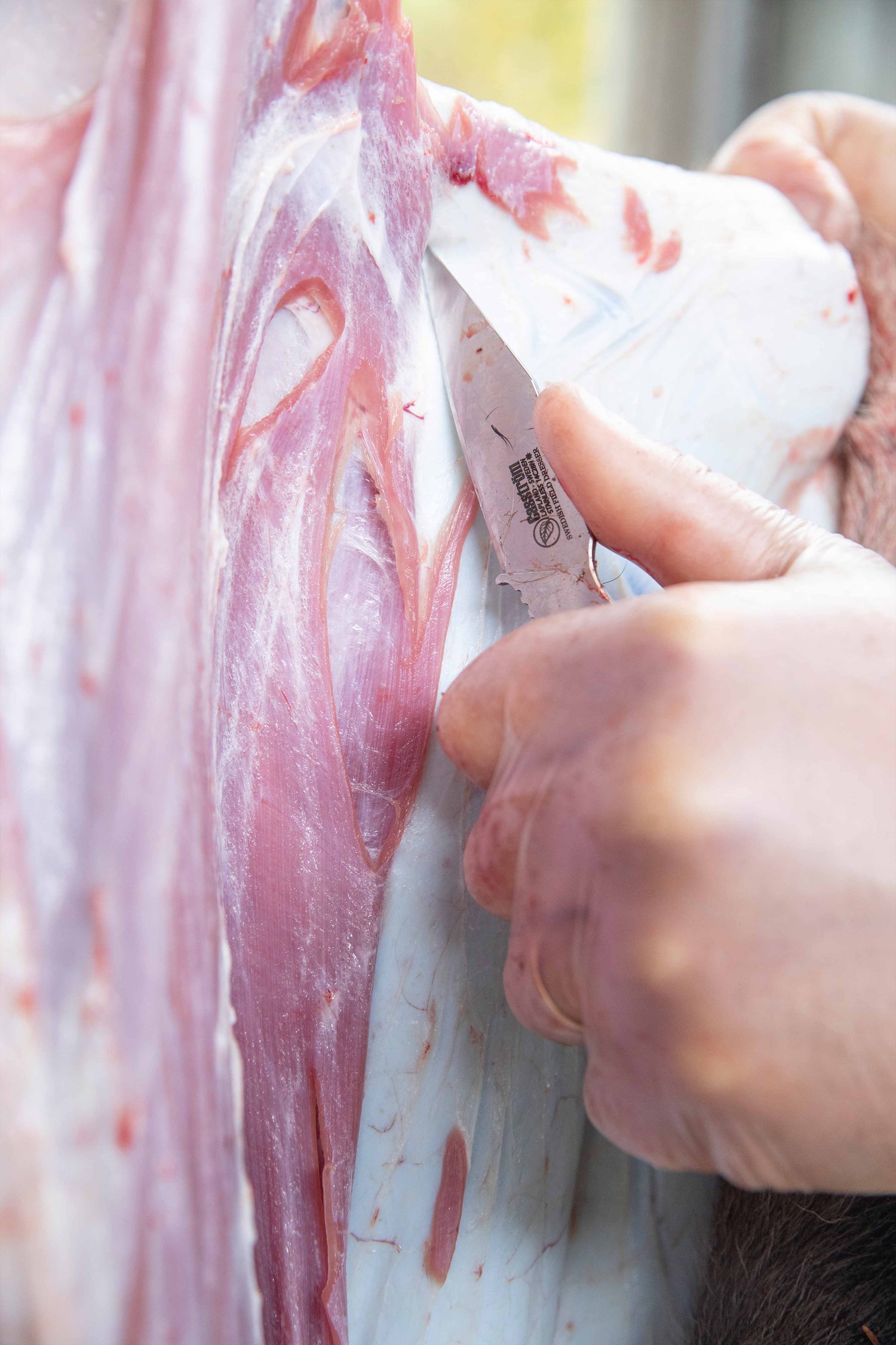 Hunter's Combo, Double Hunting Knife Set, Orange G10