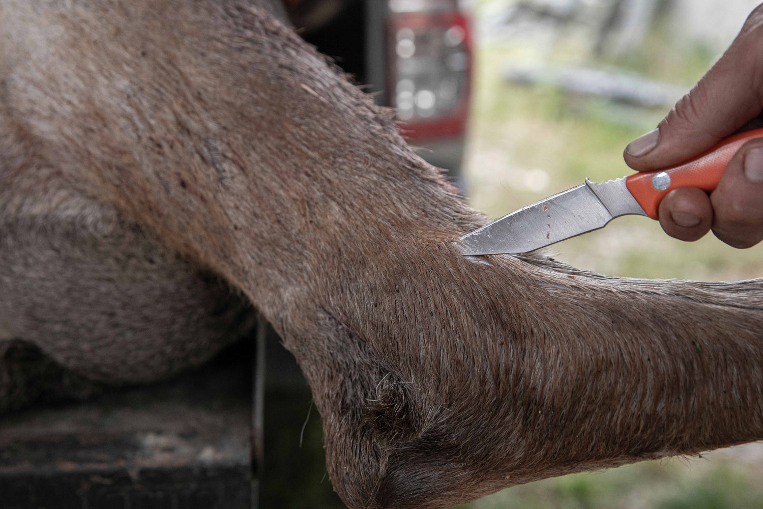 Swedish Field Dresser Jaktkniv, Orange G10