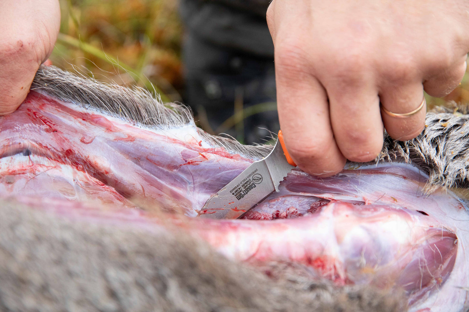 Swedish Field Dresser Jaktkniv, Orange G10