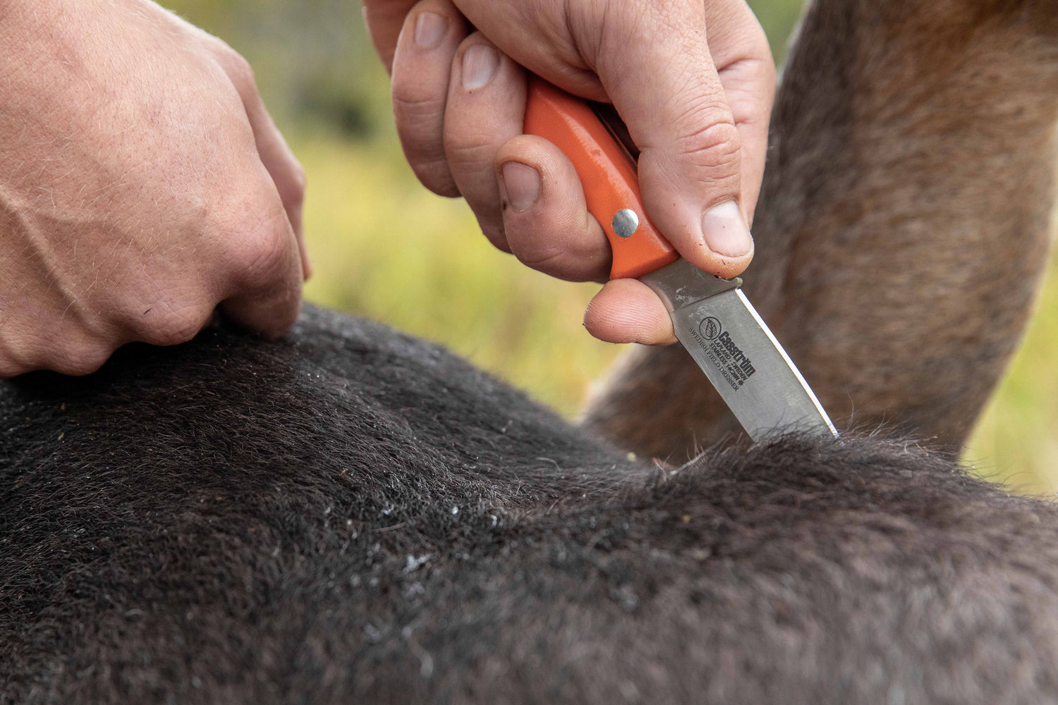 Swedish Field Dresser Jaktkniv, Orange G10