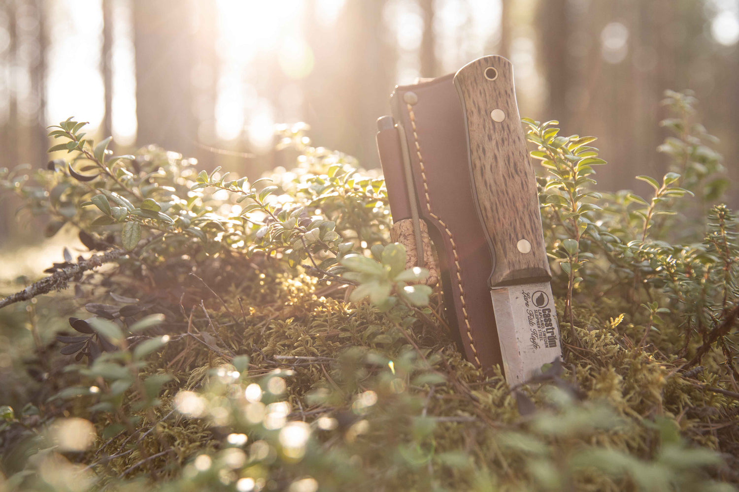 Casström: The Sustainable Edge